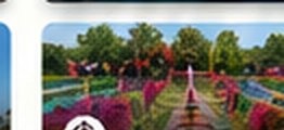 Jardines de México desde Tequesquitengo